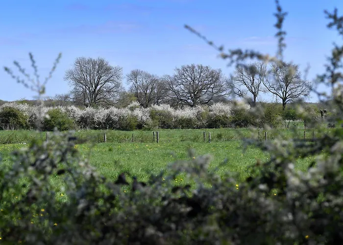 Langs De Maas Bed & Breakfast Boxmeer