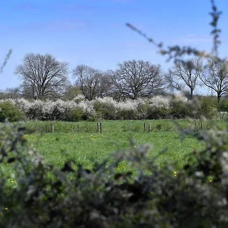 Langs De Maas Bed & Breakfast Boxmeer