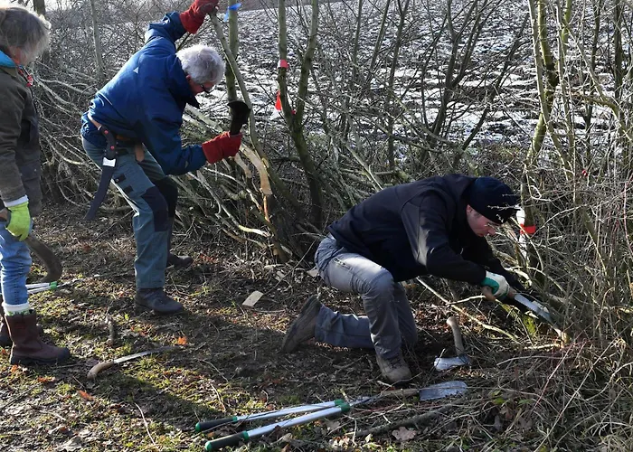 Langs De Maas Bed & Breakfast