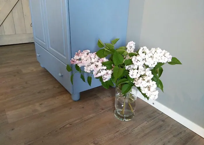 Bed & Breakfast Langs De Maas